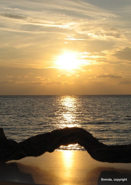 Autumn Sunset..