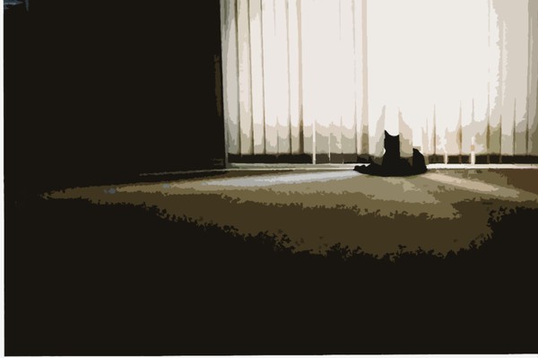 Black Cat