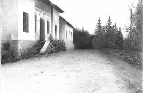 tuzla 1
