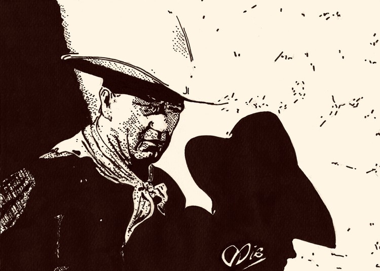 The man who shot Liberty Valance 