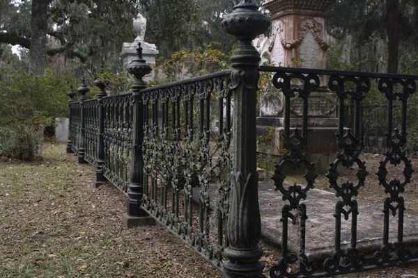 Ornamental Iron Fence