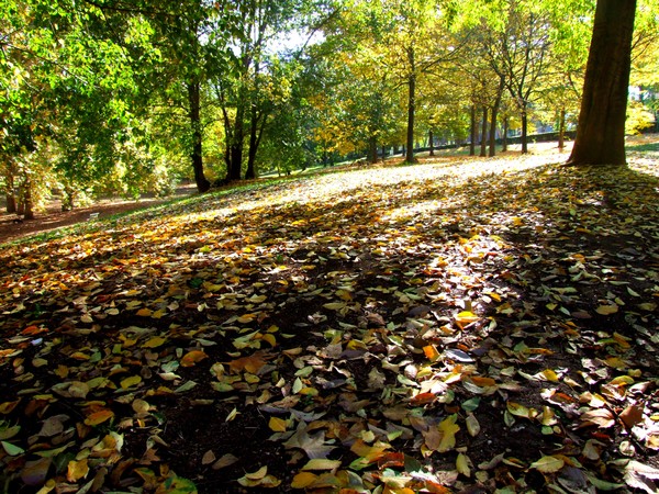 Autumn in Rome