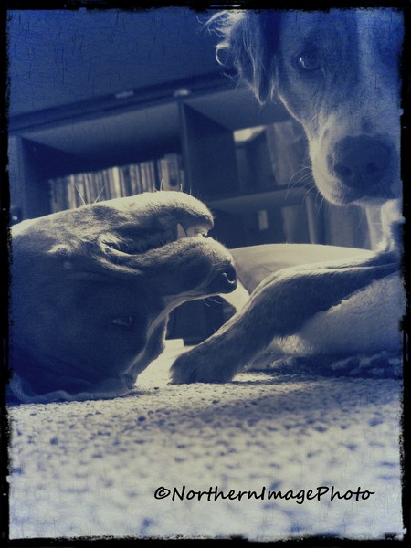 Brothers