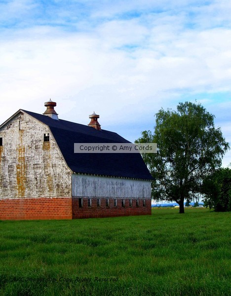 Silverton Barn & Oak