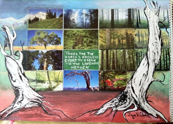 Trees