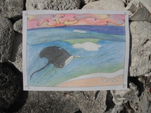 surfin' manta