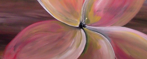 Dogwood Bloom 2