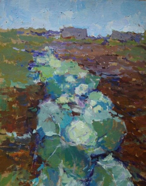 Mum's cabbage