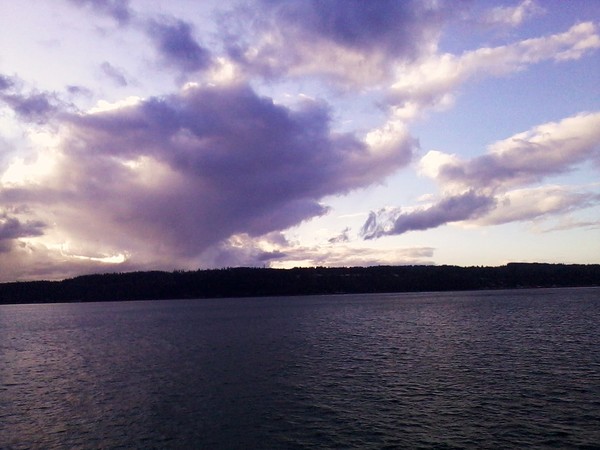 Turtle in the Sky