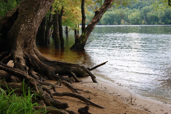 St. Croix Shore