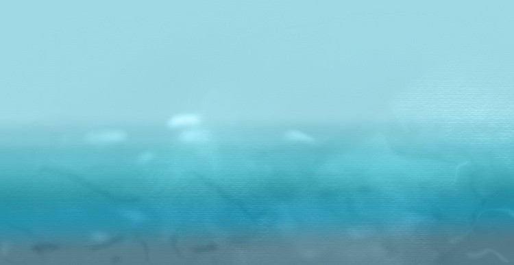 Sea Waves 