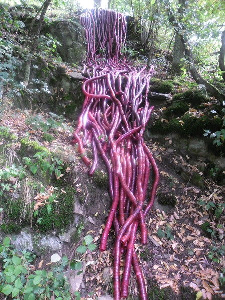 Pipes Rheinsteig
