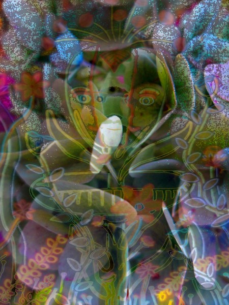 Art meets Nature 27
