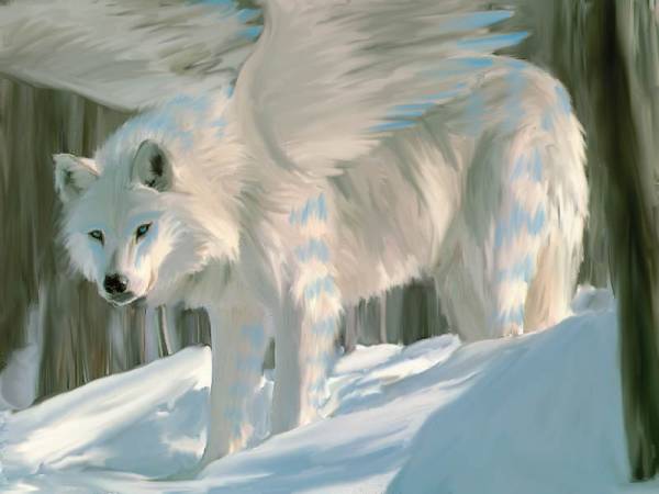 Snow wolf