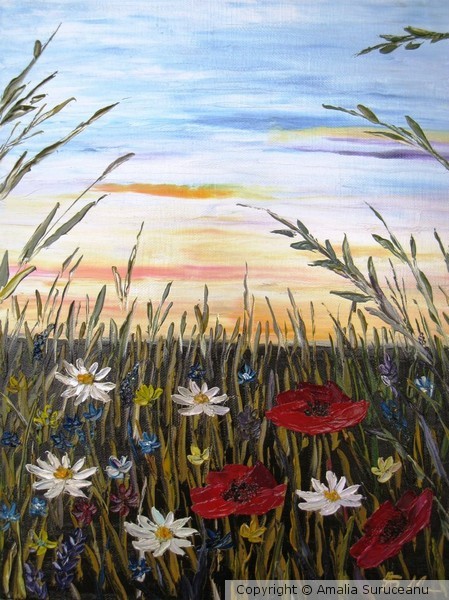 Summer field 1
