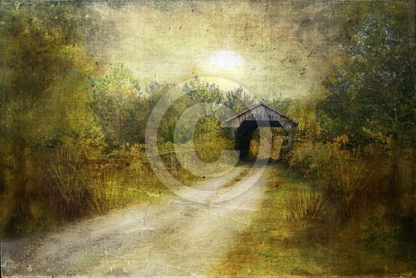 the way home