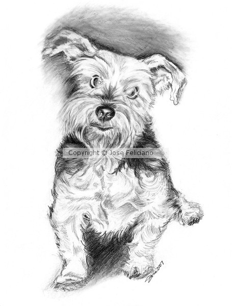 Poochy 1