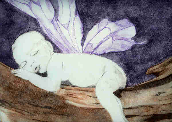baby  tree faerie