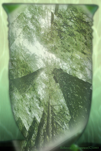 The Glass
