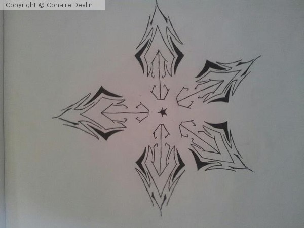 Northern Star