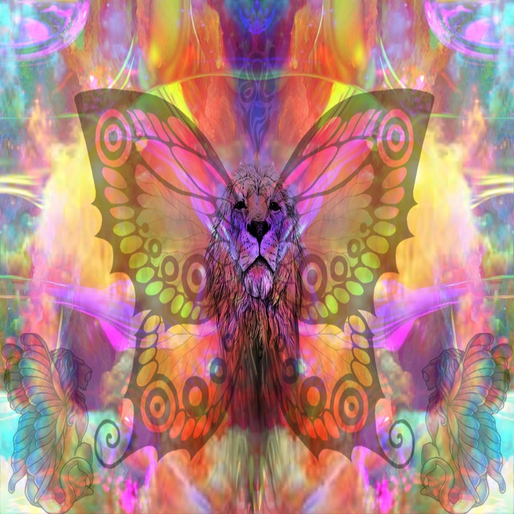 LeoButterfly
