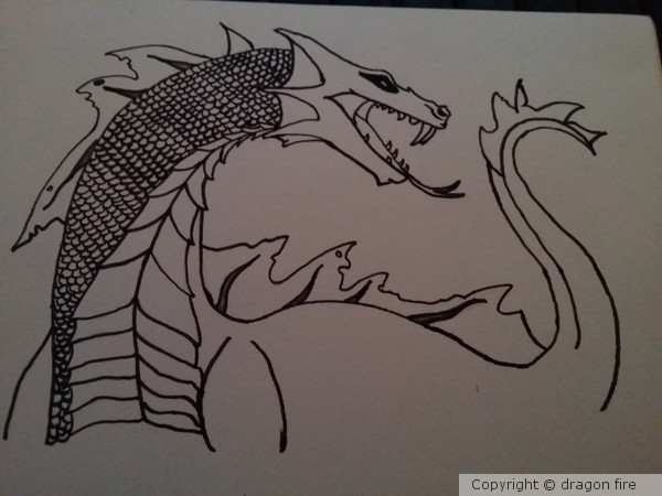 Water Dragon