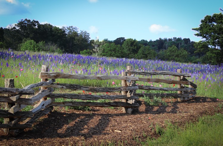 Virginia roadside