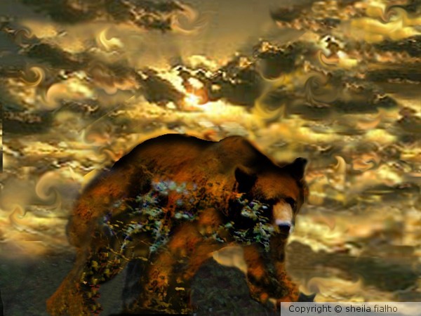 medecin bear