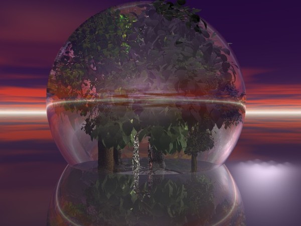 future of the rainforest