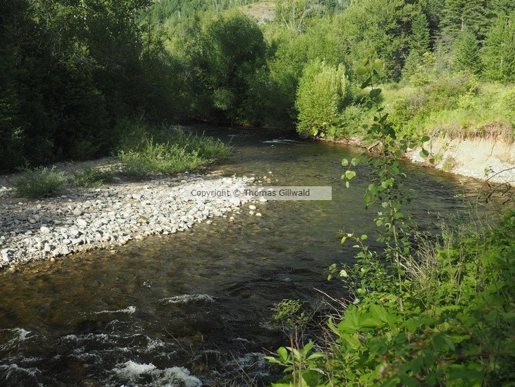 Small creek