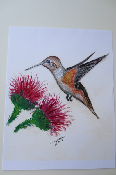 California Hummingbird