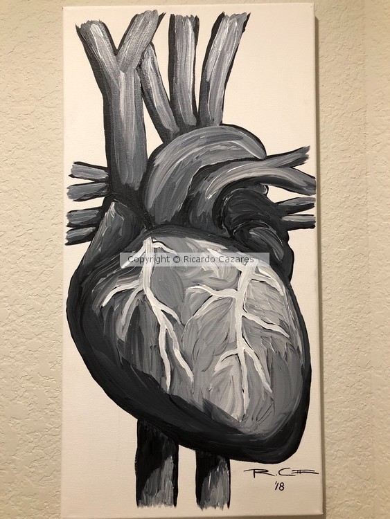Myocardium