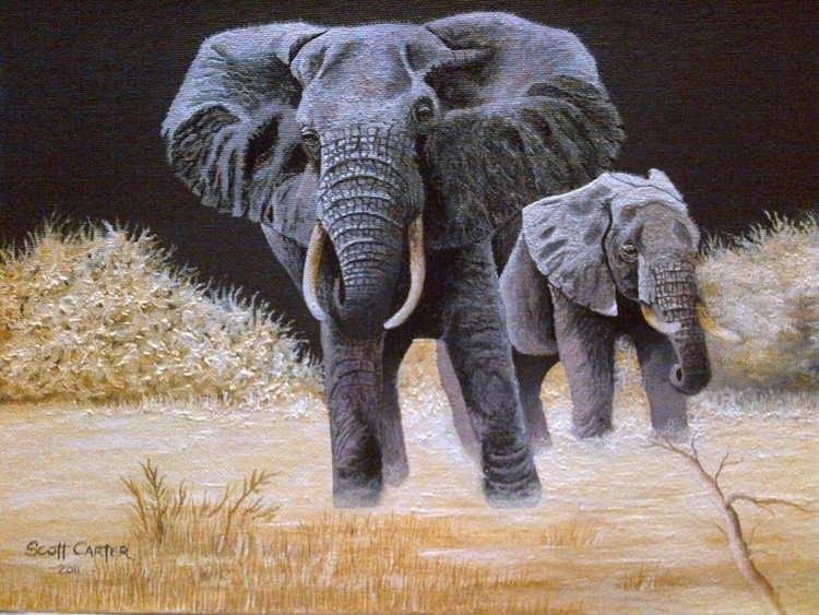Elephants in the bush