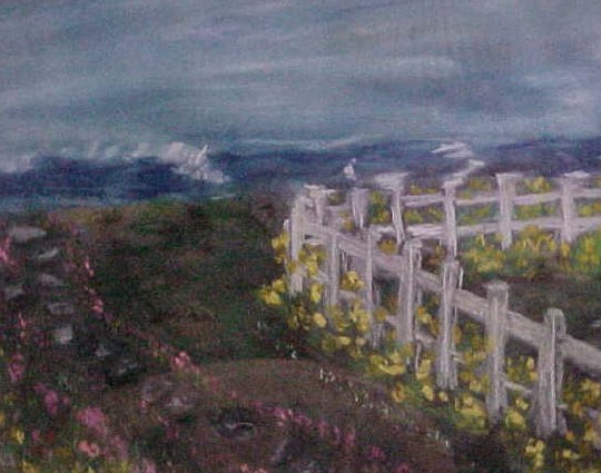 Cape Cod Fence Collection #1