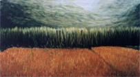 Rice Field