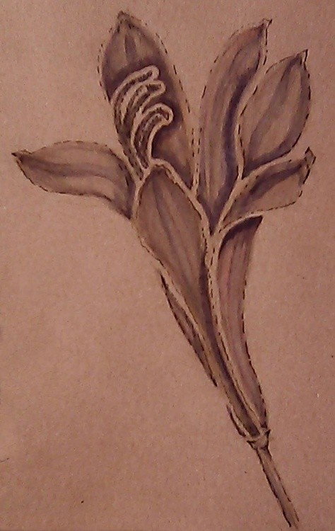 Agapanthus Flower Watercolor