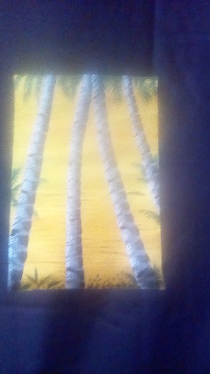 Sunset Palms