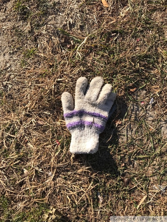 Lost purple-striped Glove