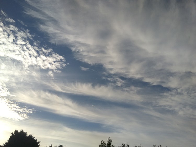 Cotton candy 