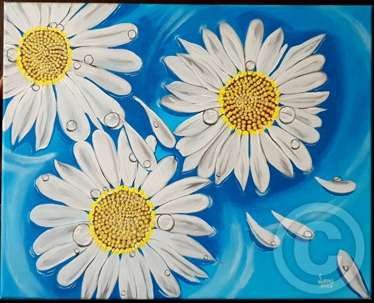 Floating Dasies