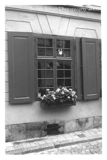 Window Box