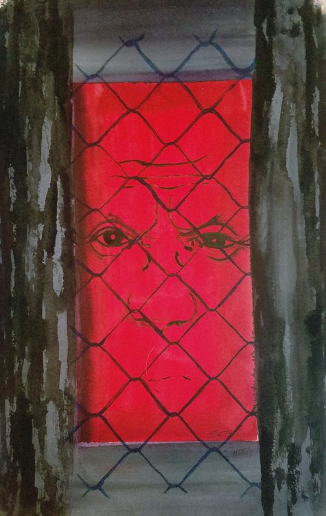 Through the Looking Glass