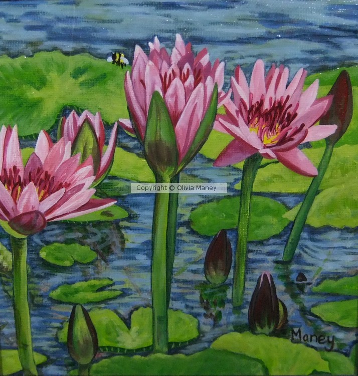 Hawaiian Waterlilies #7