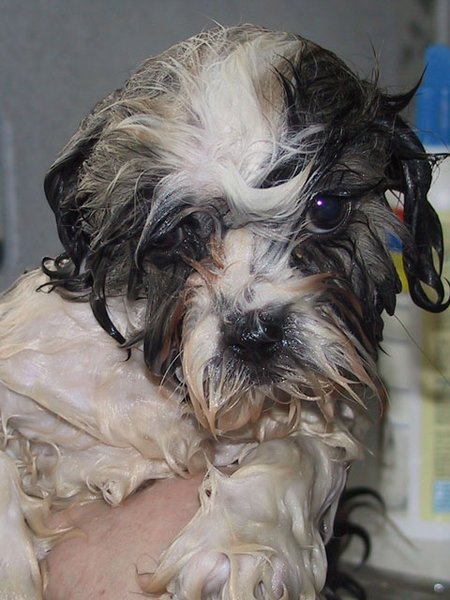 First Bath