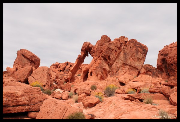 Elephant Rock