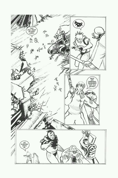 fd page17