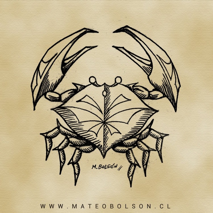 4 - cancer