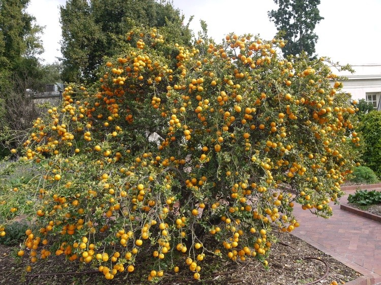 P1230099