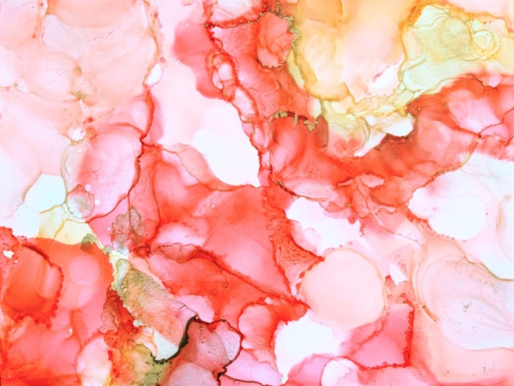 Coral Echoes