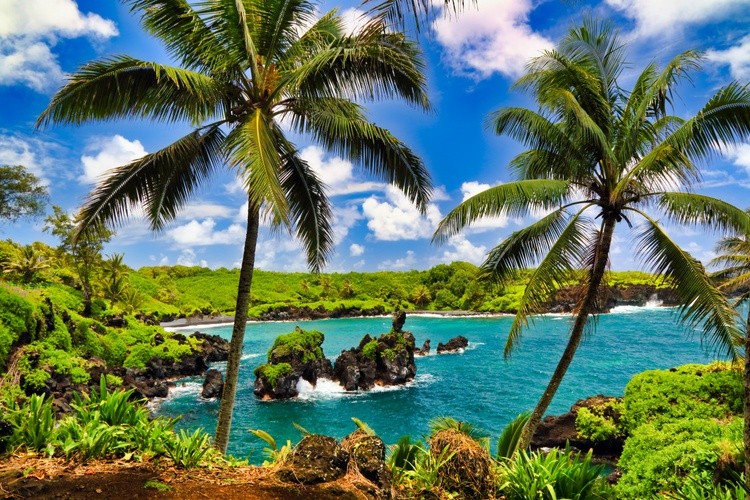 Maui Black Sand Beach